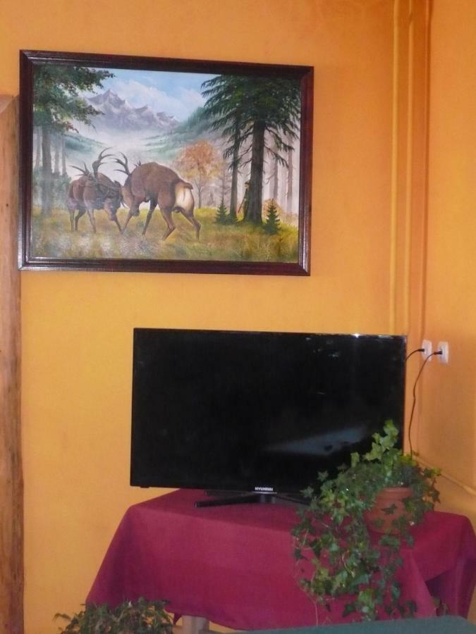 Pokoje Goscinne W Gorach Kościelisko Exteriör bild
